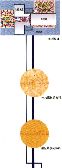 均質(zhì)機(jī)